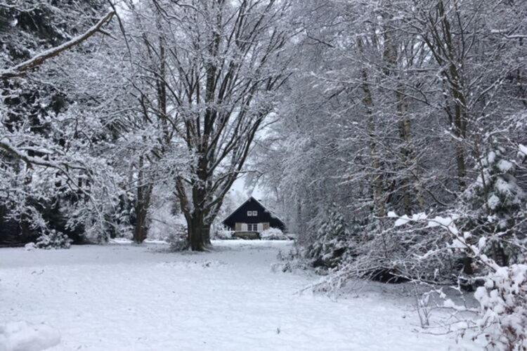 Willa Quietly Located Country House In Vielsalm Zewnętrze zdjęcie